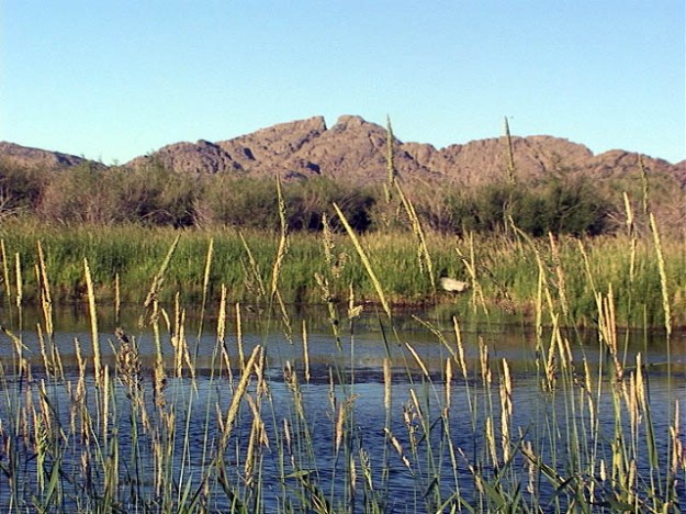 The Only Source of Water on the Trail