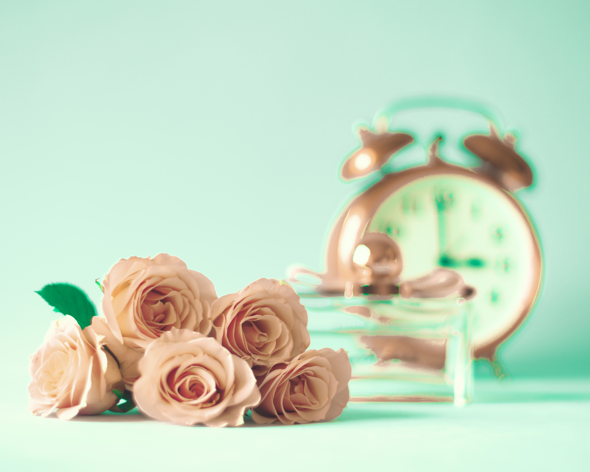 Laura Stapleton's Blog